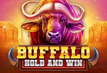 Buffalo Hold and Win